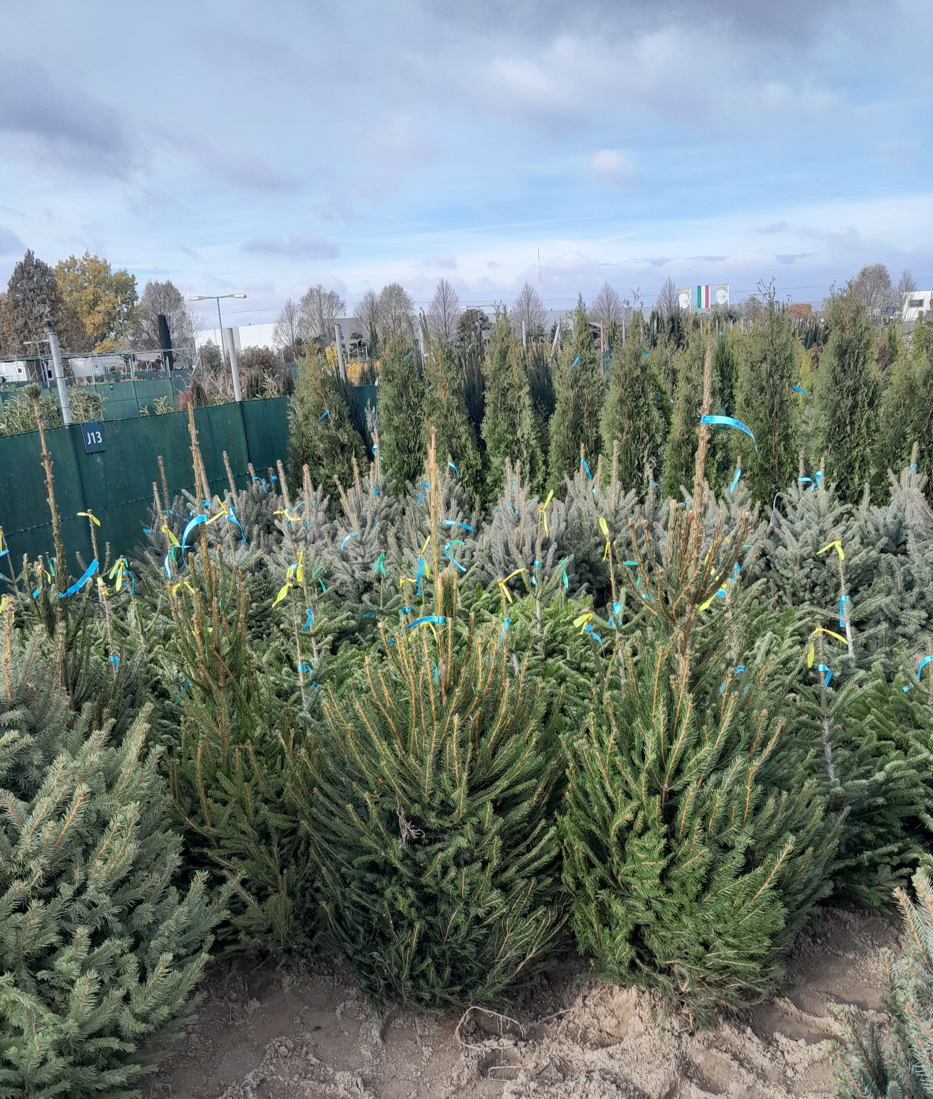 Fusce porta urna ut nunc sollicitudin, a condimentum dui tincidunt