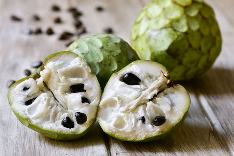 ANNONA CHERIMOLA