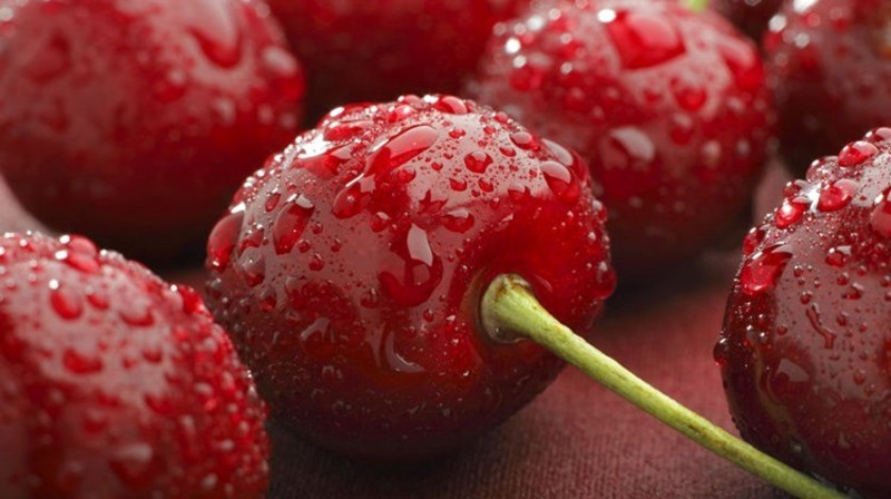 PRUNUS AVIUM KATALIN
